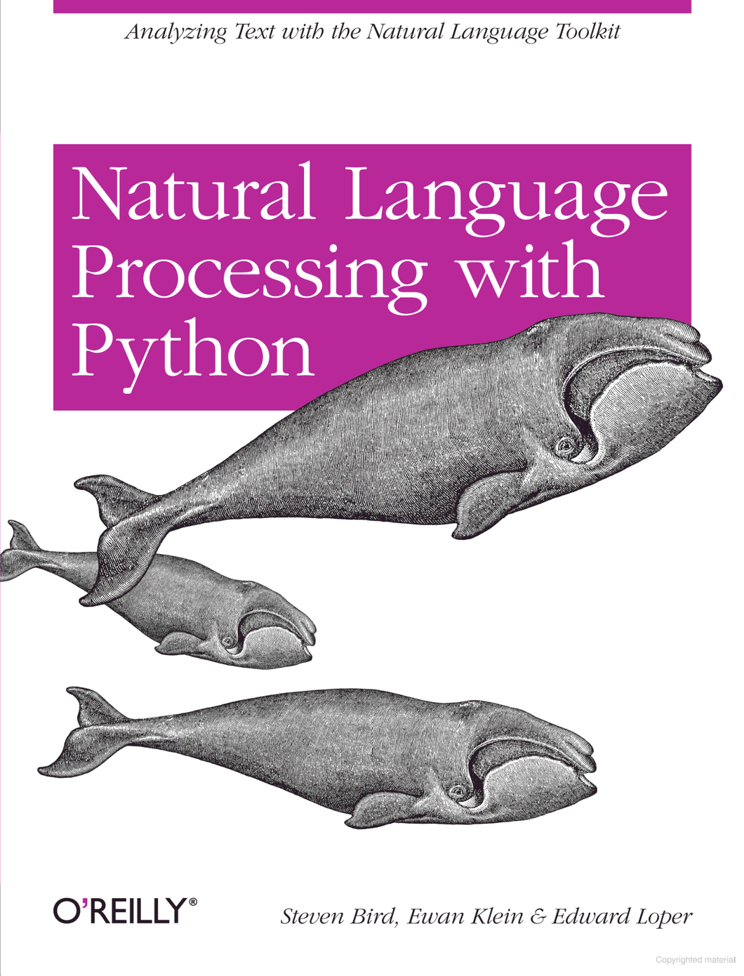 NLP with Python